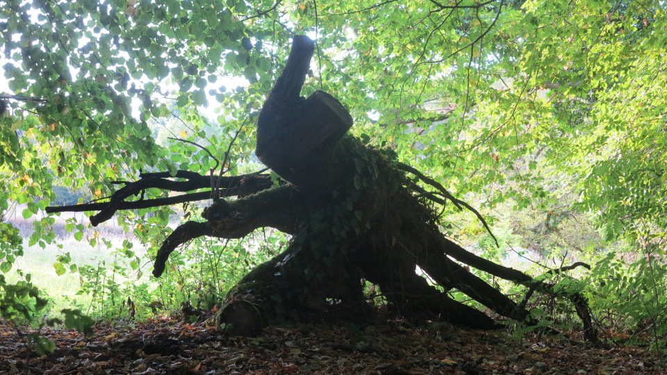 Monstre forestier